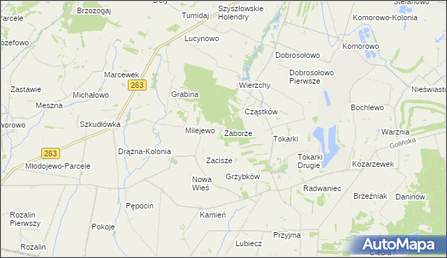 mapa Zaborze gmina Słupca, Zaborze gmina Słupca na mapie Targeo