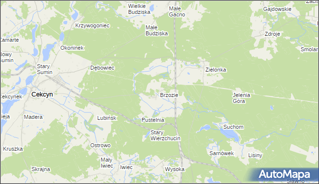mapa Brzozie gmina Cekcyn, Brzozie gmina Cekcyn na mapie Targeo