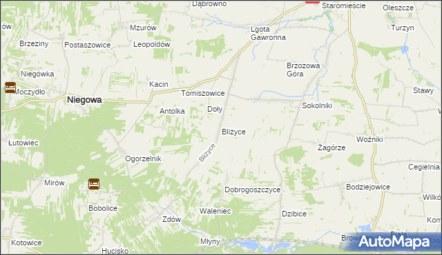 mapa Bliżyce gmina Niegowa, Bliżyce gmina Niegowa na mapie Targeo