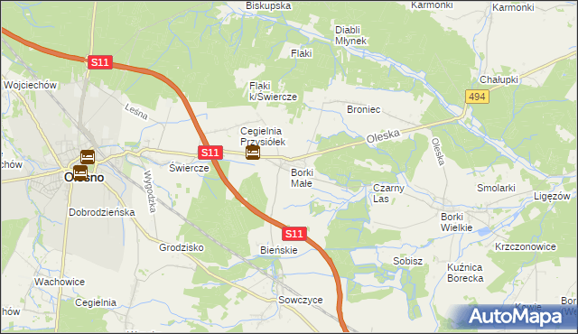 mapa Borki Małe gmina Olesno, Borki Małe gmina Olesno na mapie Targeo