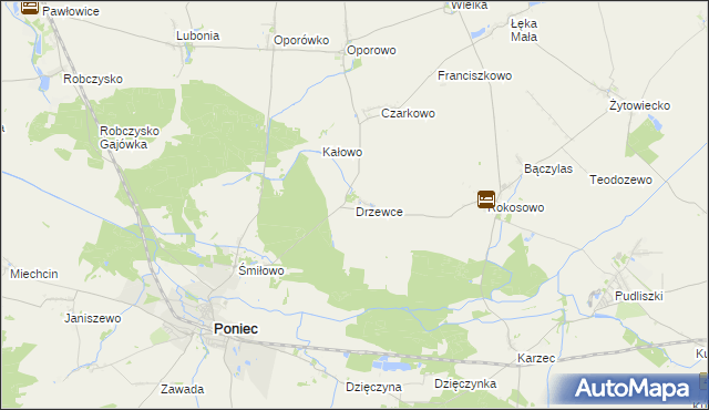 mapa Drzewce gmina Poniec, Drzewce gmina Poniec na mapie Targeo