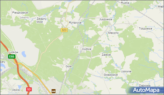 mapa Koźlice gmina Rudna, Koźlice gmina Rudna na mapie Targeo