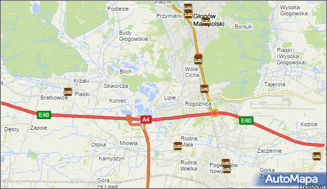 mapa Lipie gmina Głogów Małopolski, Lipie gmina Głogów Małopolski na mapie Targeo