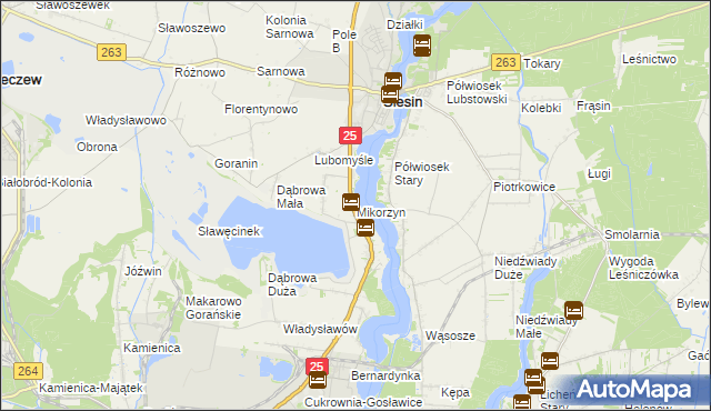 mapa Mikorzyn gmina Ślesin, Mikorzyn gmina Ślesin na mapie Targeo