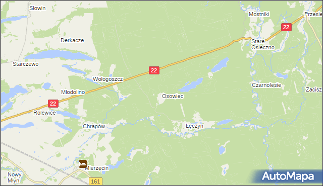 mapa Osowiec gmina Dobiegniew, Osowiec gmina Dobiegniew na mapie Targeo