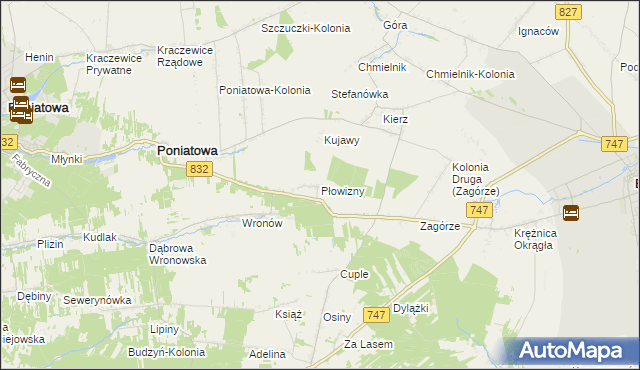 mapa Płowizny, Płowizny na mapie Targeo