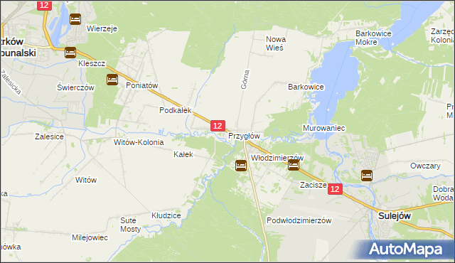 mapa Przygłów, Przygłów na mapie Targeo