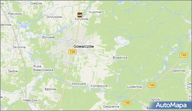 mapa Rogówek gmina Gowarczów, Rogówek gmina Gowarczów na mapie Targeo