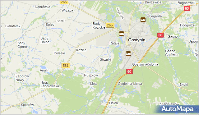 mapa Strzałki gmina Gostynin, Strzałki gmina Gostynin na mapie Targeo