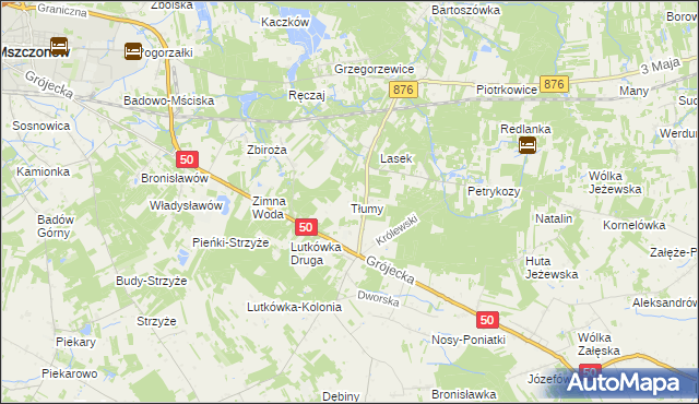 mapa Tłumy gmina Mszczonów, Tłumy gmina Mszczonów na mapie Targeo