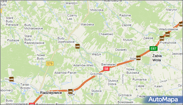 mapa Wężyk, Wężyk na mapie Targeo