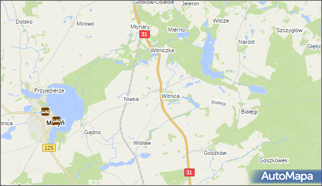 mapa Witnica gmina Moryń, Witnica gmina Moryń na mapie Targeo