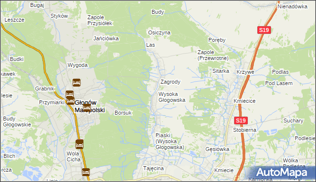 mapa Wysoka Głogowska, Wysoka Głogowska na mapie Targeo