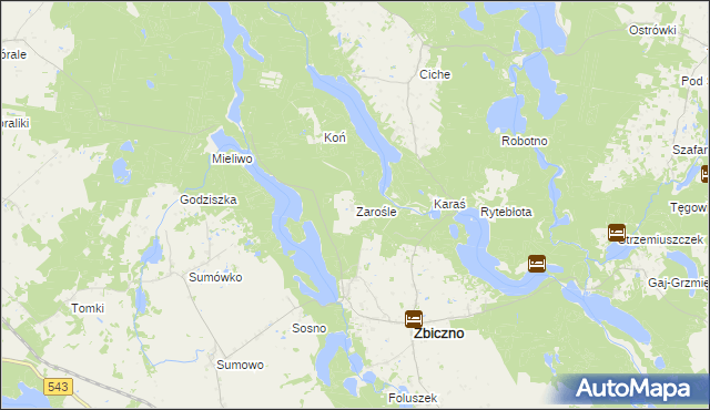 mapa Zarośle gmina Zbiczno, Zarośle gmina Zbiczno na mapie Targeo