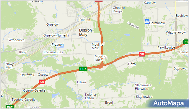 mapa Mogilno Duże, Mogilno Duże na mapie Targeo