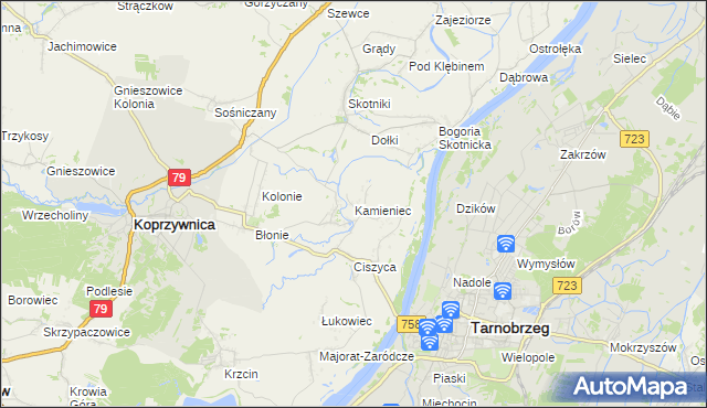mapa Kamieniec gmina Koprzywnica, Kamieniec gmina Koprzywnica na mapie Targeo