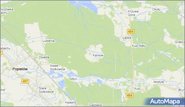 mapa Kaniów gmina Popielów, Kaniów gmina Popielów na mapie Targeo