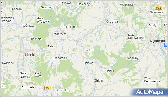 mapa Radość gmina Dębowiec, Radość gmina Dębowiec na mapie Targeo