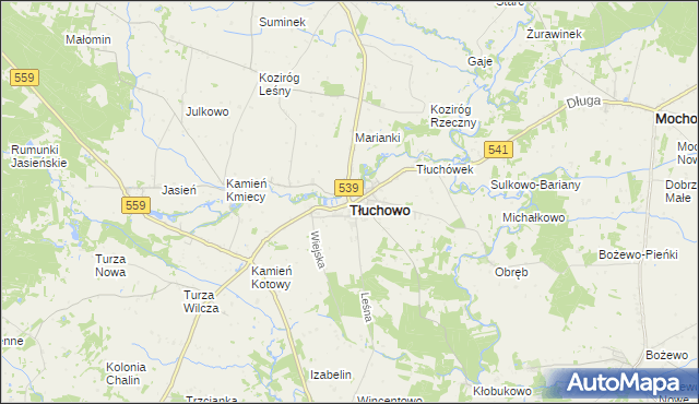 mapa Tłuchowo, Tłuchowo na mapie Targeo