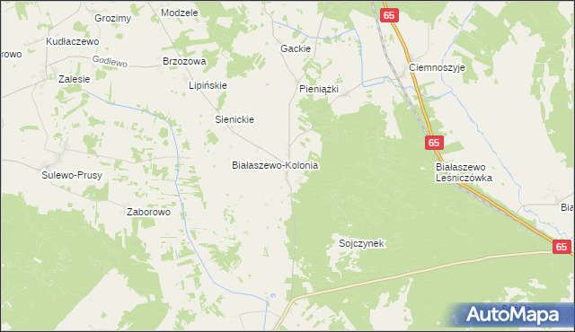 mapa Białaszewo, Białaszewo na mapie Targeo