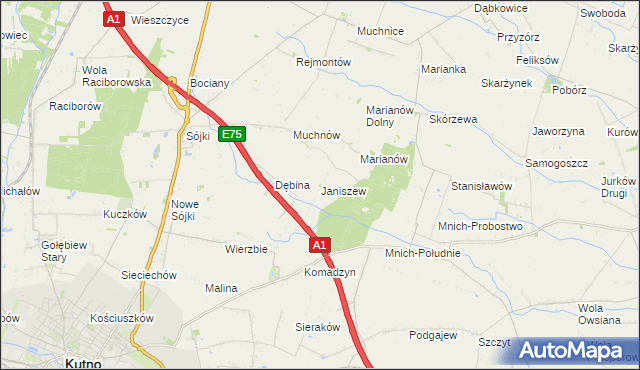 mapa Janiszew gmina Strzelce, Janiszew gmina Strzelce na mapie Targeo