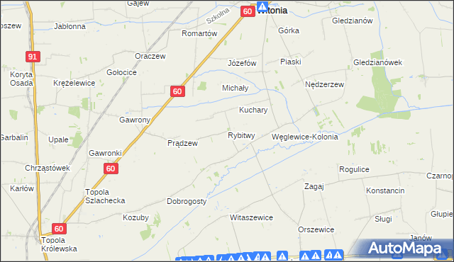 mapa Rybitwy gmina Witonia, Rybitwy gmina Witonia na mapie Targeo