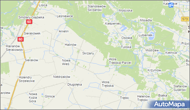 mapa Feliksów gmina Gostynin, Feliksów gmina Gostynin na mapie Targeo