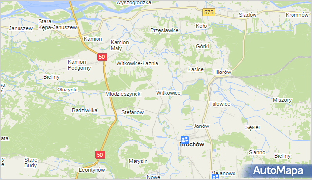 mapa Witkowice gmina Młodzieszyn, Witkowice gmina Młodzieszyn na mapie Targeo