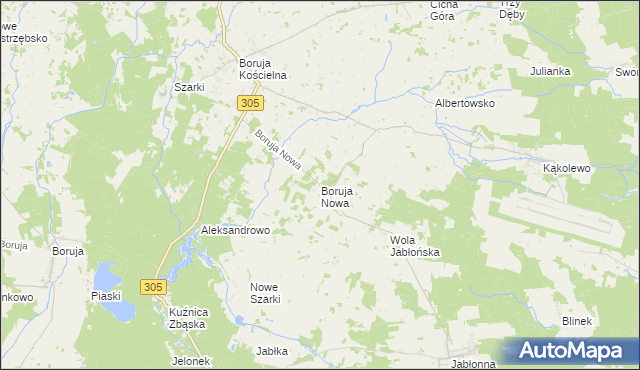 mapa Boruja Nowa, Boruja Nowa na mapie Targeo