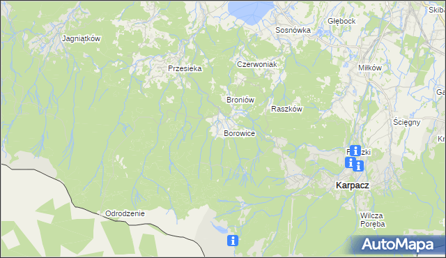 mapa Borowice gmina Podgórzyn, Borowice gmina Podgórzyn na mapie Targeo