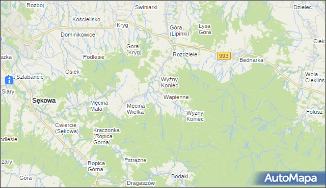mapa Wapienne, Wapienne na mapie Targeo