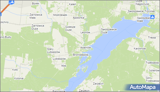 mapa Adamów gmina Wolbórz, Adamów gmina Wolbórz na mapie Targeo