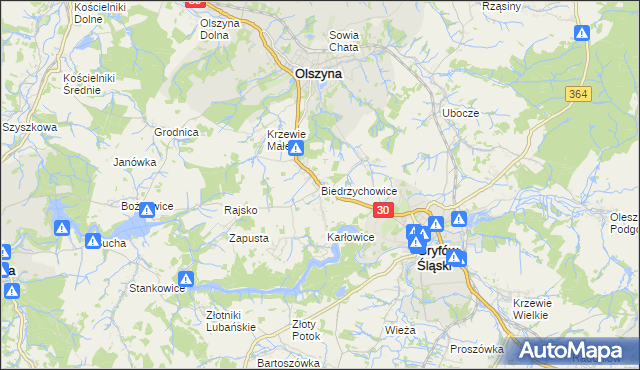 mapa Biedrzychowice gmina Olszyna, Biedrzychowice gmina Olszyna na mapie Targeo