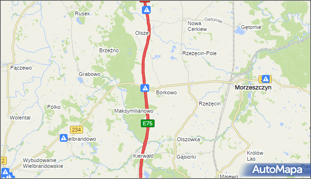 mapa Borkowo gmina Morzeszczyn, Borkowo gmina Morzeszczyn na mapie Targeo