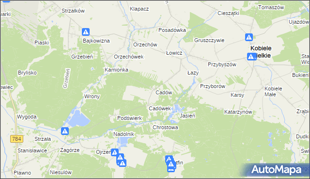 mapa Cadów, Cadów na mapie Targeo