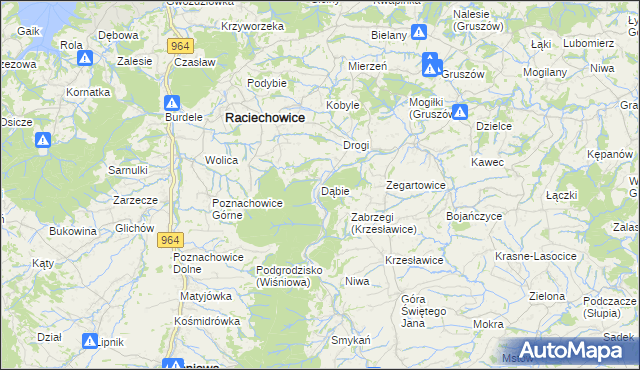 mapa Dąbie gmina Raciechowice, Dąbie gmina Raciechowice na mapie Targeo