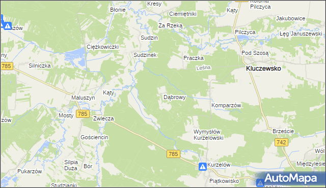 mapa Dąbrowy gmina Kluczewsko, Dąbrowy gmina Kluczewsko na mapie Targeo