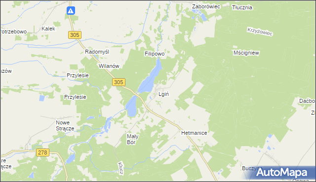 mapa Lgiń, Lgiń na mapie Targeo