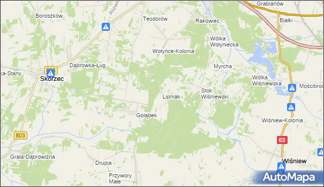 mapa Lipniak gmina Wiśniew, Lipniak gmina Wiśniew na mapie Targeo