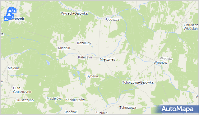 mapa Międzyleś gmina Miedzna, Międzyleś gmina Miedzna na mapie Targeo