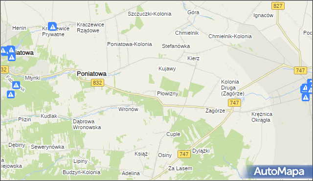mapa Płowizny, Płowizny na mapie Targeo