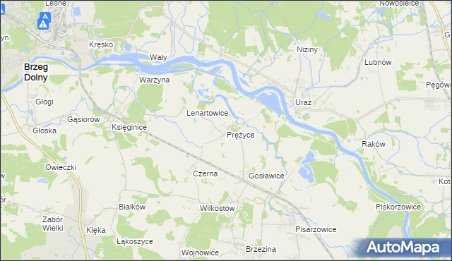 mapa Prężyce, Prężyce na mapie Targeo