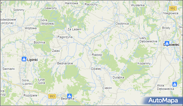 mapa Radość gmina Dębowiec, Radość gmina Dębowiec na mapie Targeo
