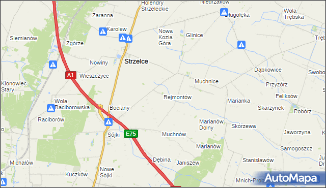 mapa Rejmontów, Rejmontów na mapie Targeo