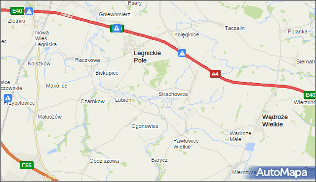 mapa Strachowice gmina Legnickie Pole, Strachowice gmina Legnickie Pole na mapie Targeo