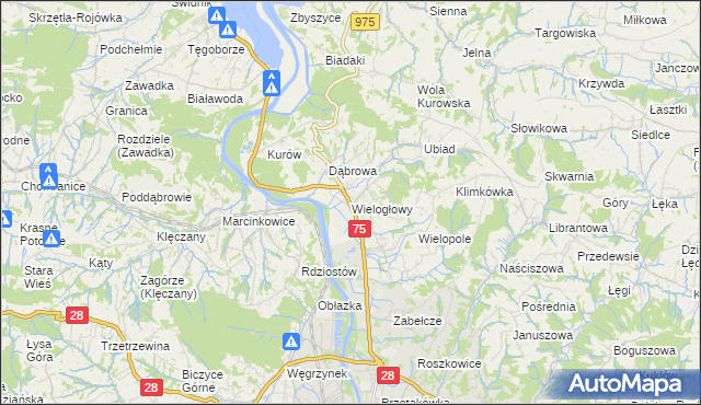 mapa Wielogłowy gmina Chełmiec, Wielogłowy gmina Chełmiec na mapie Targeo