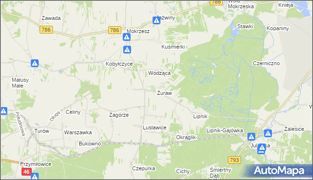 mapa Żuraw gmina Janów, Żuraw gmina Janów na mapie Targeo