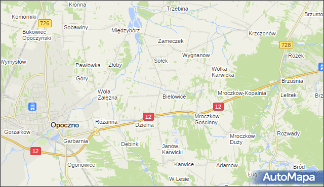 mapa Bielowice gmina Opoczno, Bielowice gmina Opoczno na mapie Targeo