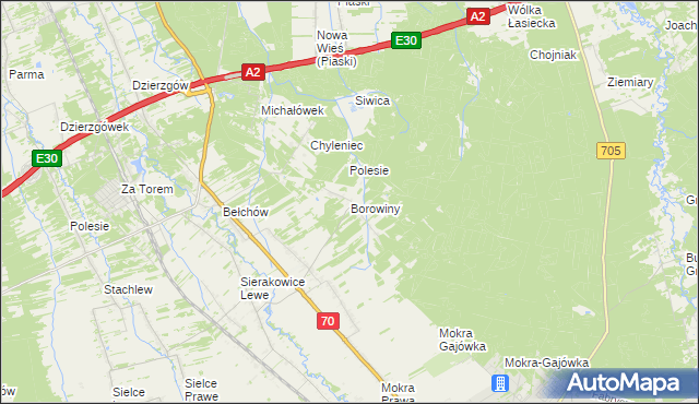 mapa Borowiny gmina Skierniewice, Borowiny gmina Skierniewice na mapie Targeo