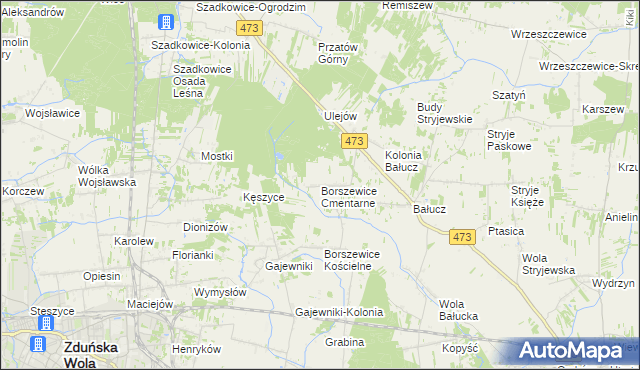 mapa Borszewice Cmentarne, Borszewice Cmentarne na mapie Targeo